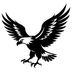 Obraz premium eagle vector illustration
