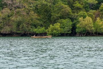 Mangrowce. Mtwapa Creek. Chroniony ekosystem namorzynowy w pobliżu Watamu, Kenia, Afryka