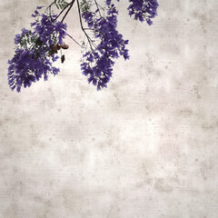 stylish square textured old paper background with Flowers of blue jacaranda, Jacaranda mimosifolia
