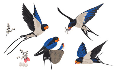 Texture set bright spring birds isolated. Vector swallows with blue plumage in different positions. Chick in nest with mom, male carrying food, branches of soft willow in bouquet, eggs