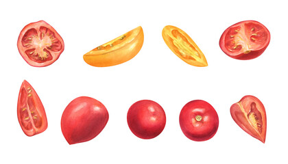 Fresh red and yellow tomatoes watercolor illustration clip art isolated background. Whole, half and slices of garden summer vegetables. For farm to table designs, organic food branding, cookbooks.