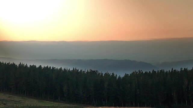 Drone. Aerial shot. Pine forets landscape at sunset. Mountains landscape.