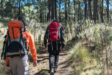 Hikers walking in the forest near apatlaco waterfalls in mexico