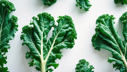 Healthy nutrition concept with fresh organic green kale leaves arranged on a white background, flat lay style