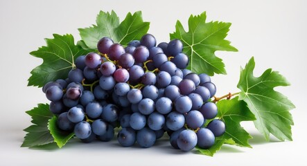 Isolated fresh grape cluster with green leaves and clipping path