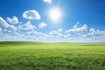 Fototapeta premium A bright fresh sunny spring, summer blue sky background with white fluffy clouds and lush green grass in the foreground