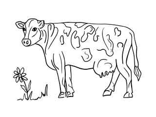 Cute cow with flower, horizontal contour illustration in doodle style. Farm animals, cattle. The concept of farm products, organic dairy and meat products. Banner, the logo of a dairy store.