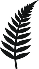 New Zealand Fern vector icon on transparent background © Salma