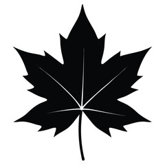 Sweetgum Leaf Silhouette Vector - Minimalist Nature Design