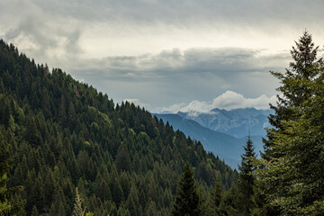 vista dettagliata su un ambiente naturale di montagna tra le Alpi nel nord Italia, nella regione Friuli Venezia Giulia, di giorno, in estate, con cielo nuvoloso