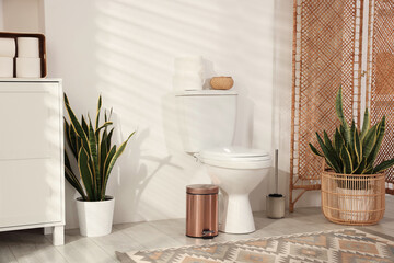 Ceramic toilet bowl, houseplants and necessities in restroom