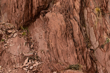 dettagli di un terreno roccioso dalle sfumature di colore tra il rosso ed il marrone