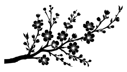 Black and white silhouette of a cherry blossom twig on a white isolated background. Vector graphics. EPS. © Dzianis