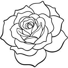 Elegant line art flower illustration, featuring a minimalist and hand-drawn floral design. Perfect for botanical prints, tattoo designs, nature-themed branding, packaging, wedding invitations, wall ar