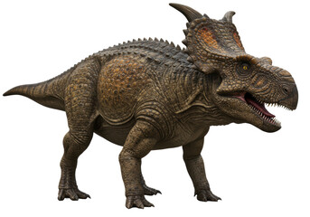 Isolated Styracosaurus Dinosaur with Horns and Spikes