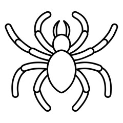 Tarantula line art vector