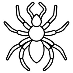 Tarantula line art vector