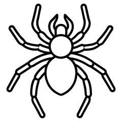 Tarantula line art vector