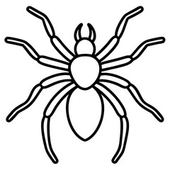 Tarantula line art vector