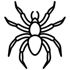 Tarantula line art vector