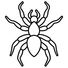 Tarantula line art vector