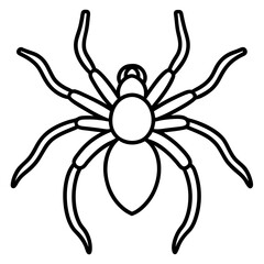 Tarantula line art vector