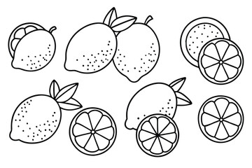  Lemon line art minimalist healthy fruit concept