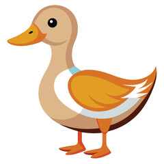 Duck isolated clipart on white background