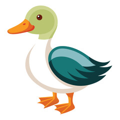 Duck isolated clipart on white background
