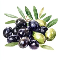Watercolor Painting of Green and Black Olives with Leaves