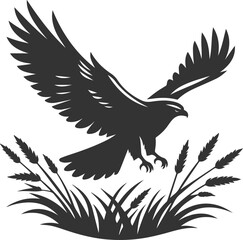 Silhouette of a hawk bird animal vector