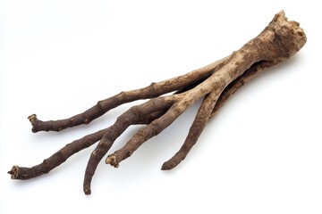 Obraz premium Devil's Claw Root: Herbal Remedy for Pain, Inflammation, and Ailments on Clean White Background