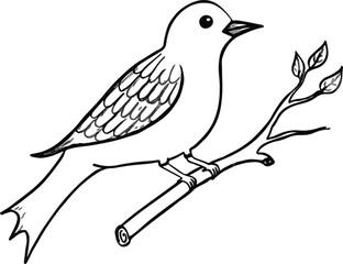  How to draw a Bird step by step
