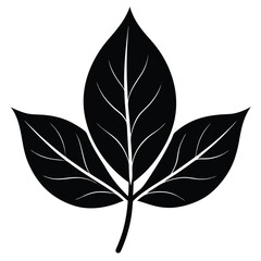 Dogwood Leaf Silhouette Vector - Minimalist Nature Design