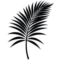 Obraz premium Coconut Palm Leaf Silhouette Vector - Minimalist Nature Design