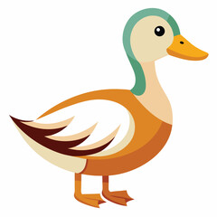 Duck isolated clipart on white background