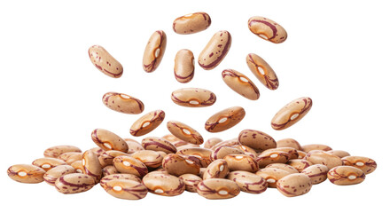 Isolated Pinto Bean Cascade with Heap at the Base