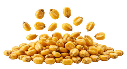 Isolated Heap of Roasted Corn Grains with Falling Kernels