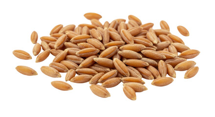 Isolated Gathered Pile of Emmer Wheat Grains Collected