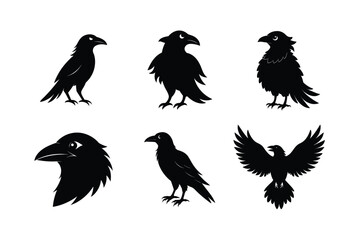 Raven Bird silhouette vector bundle  illustration