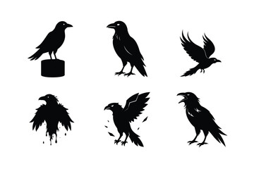 Raven Bird silhouette vector bundle  illustration