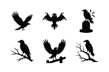 Raven Bird silhouette vector bundle  illustration