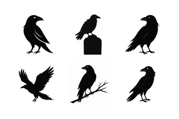 Raven Bird silhouette vector bundle