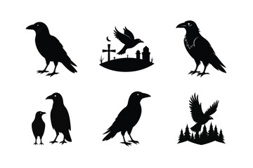 Raven Bird silhouette vector bundle  illustration