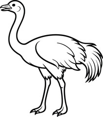 Ostrich silhouette with white background