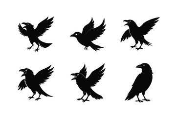 Raven Bird silhouette vector bundle  illustration