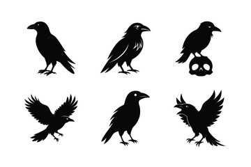 Raven Bird silhouette vector bundle  illustration