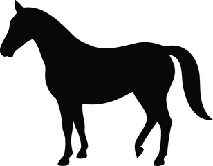 Obraz premium horse silhouette black colour with white background