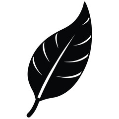 Banana Leaf Silhouette Vector - Minimalist Nature Design