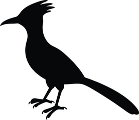 hoopoe bird silhouette with white background